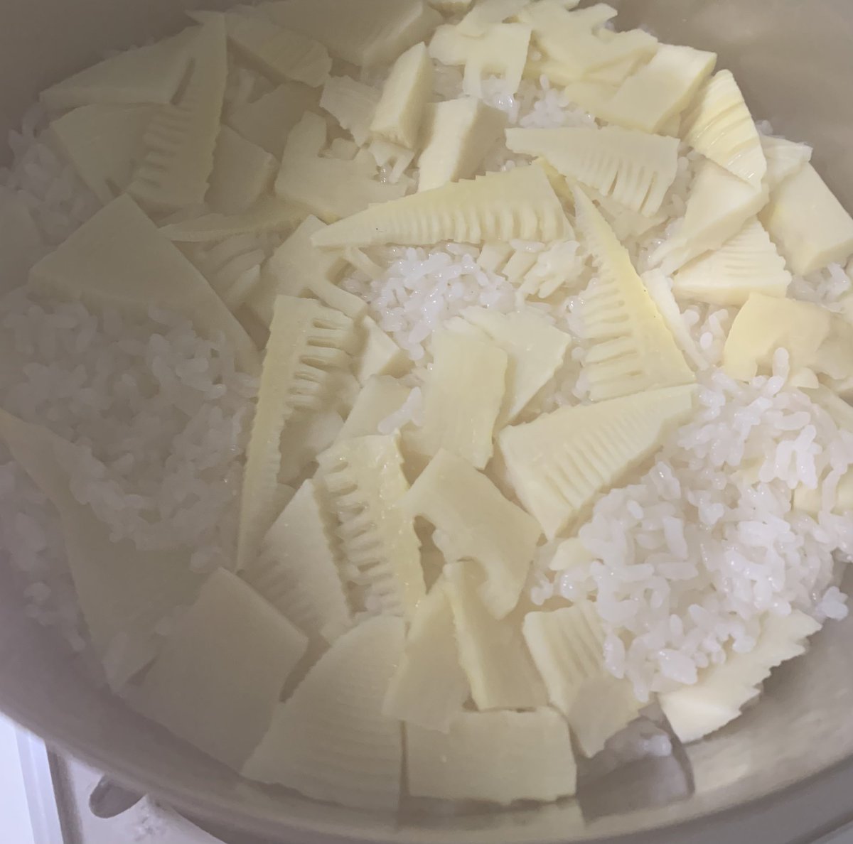hydgesunflolyra's tweet photo. 筍ご飯炊いた🍚♨️

炊きたて　湯気で曇ってる https://t.co/c05SpBYuyx