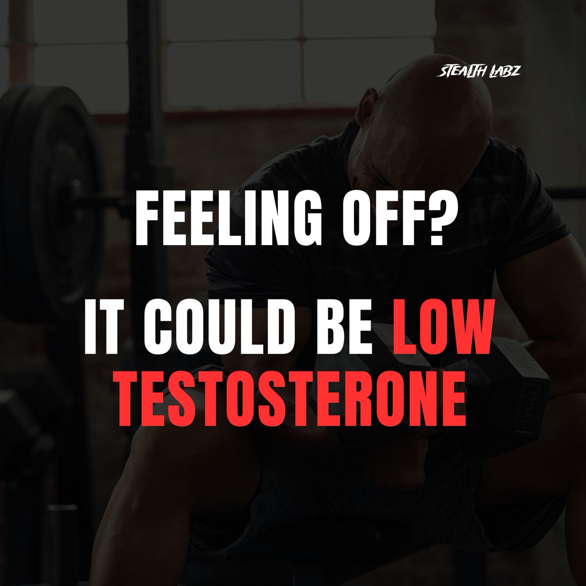StealthLabz's tweet photo. Alpha by Stealth Labz is a scientifically formulated testosterone support supplement that helps restore your body's natural T-levels.

#AlphaExtreme #StealthLabz #LowTSigns #MensHealth #NaturalTestBooster https://t.co/z96Sc7wO6R