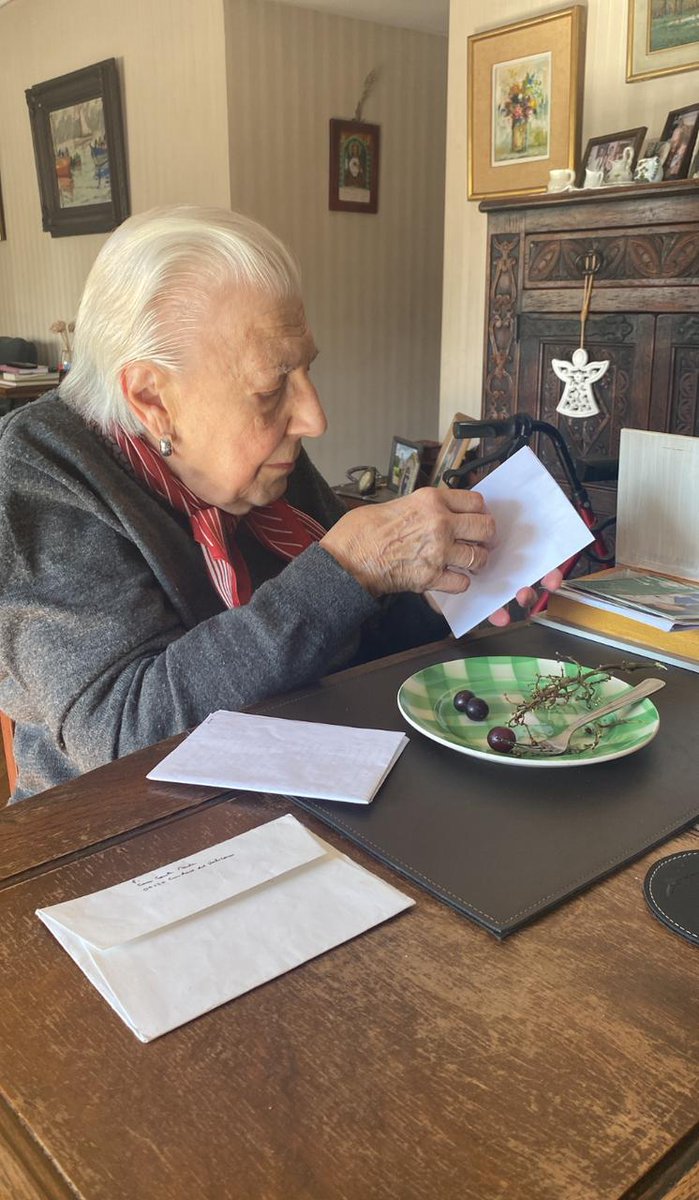 Ayer con mi abuela estuvimos toda la tarde leyendo las cartas que le envió el papa en los últimos años. En el sobre que está sobre la mesa dice como remitente: Ciudad del Vaticano. Esta es otra historia