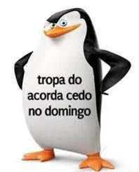 gatuna das promoções (@gatunopromos) on Twitter photo 
