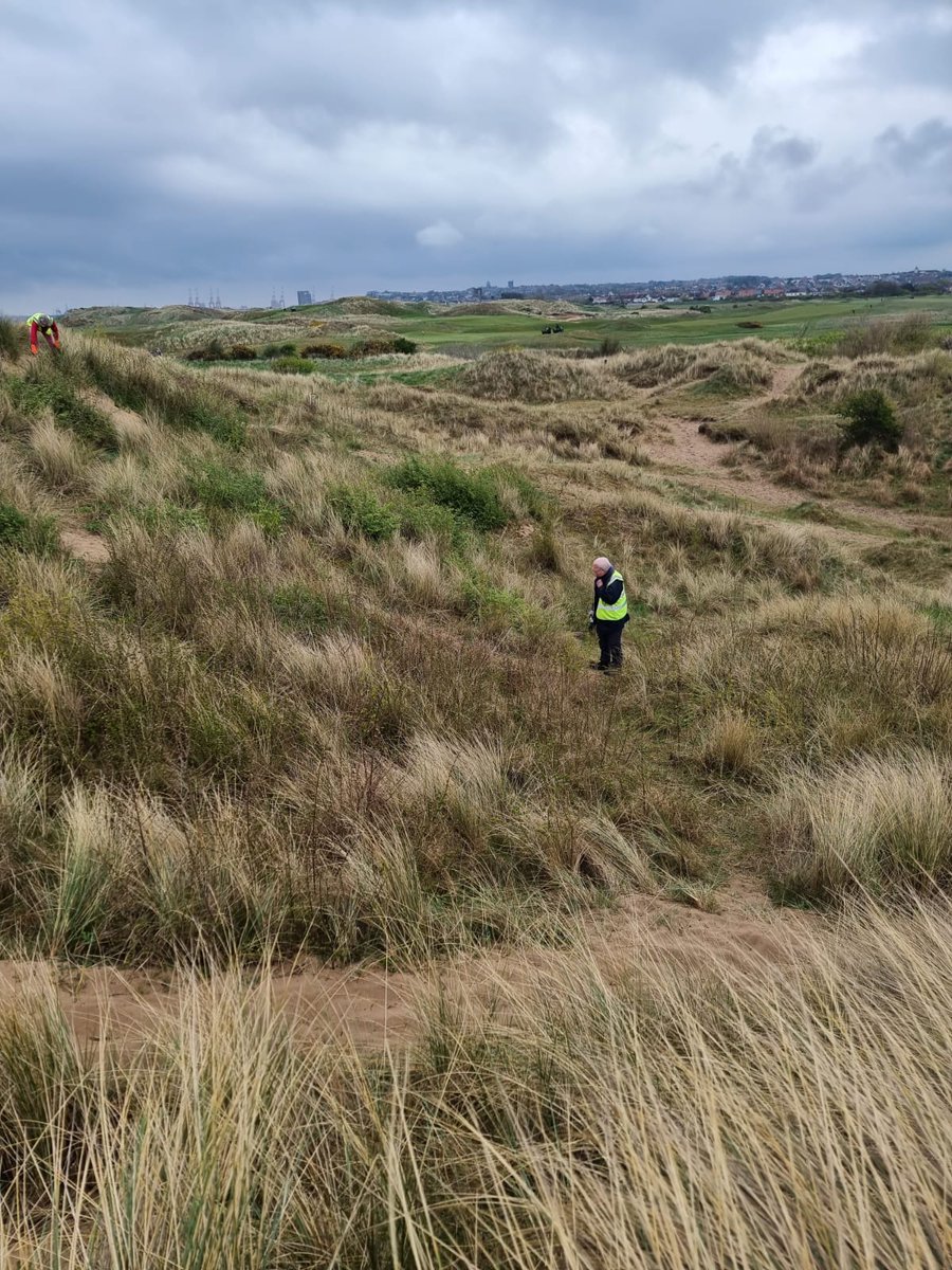 Only a small team were available on site today, to commence the huge task of clearing brash on a slope near the intended butterfly transect.  Lots more still to do!