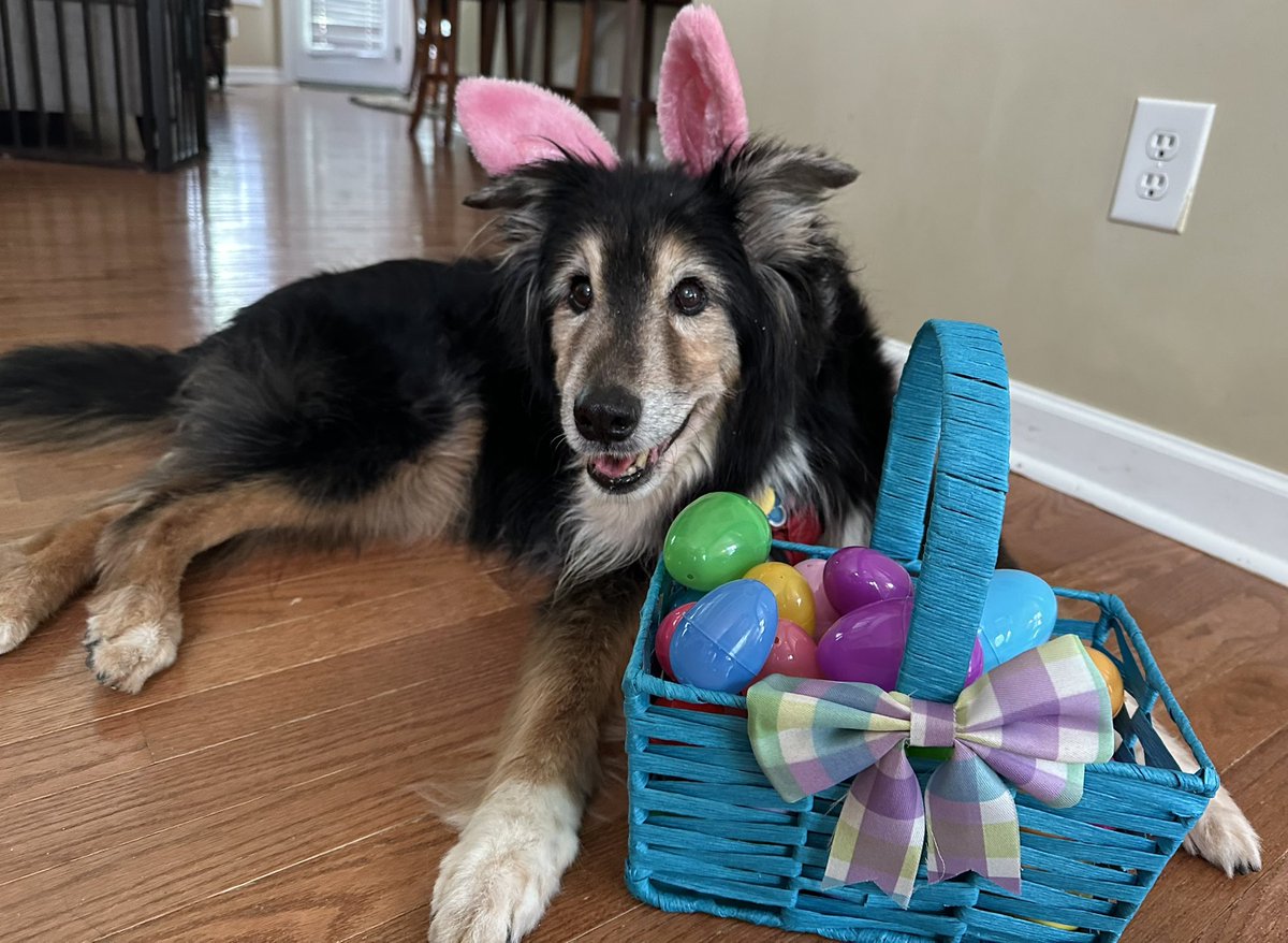 Happy #cooperpanico Easter