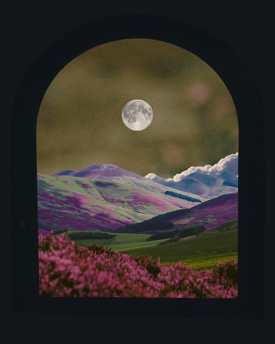 April 21st by <a href="/POSTWOOK/">post wook ✨🌻</a> 

listed for 24 hrs only on <a href="/MEonBTC/">Magic Eden on Bitcoin 🟧</a> 

"New Born Nebula in Bloom"