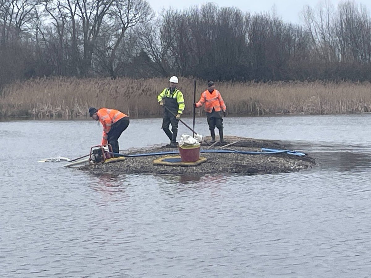 Yorkshire Water 💧 (@yorkshirewater) on Twitter photo This World Curlew Day, we’re sharing the work that's been going on at <a href="/tophilllow/">tophilllow</a> to help protect the species. 💙
Over 60 curlews roost in safety at the site, which is thanks to volunteers who spent over 140 hours maintaining wader islands for the birds.
Well done everyone! 👏 This World Curlew Day, we’re sharing the work that's been going on at <a href="/tophilllow/">tophilllow</a> to help protect the species. 💙
Over 60 curlews roost in safety at the site, which is thanks to volunteers who spent over 140 hours maintaining wader islands for the birds.
Well done everyone! 👏