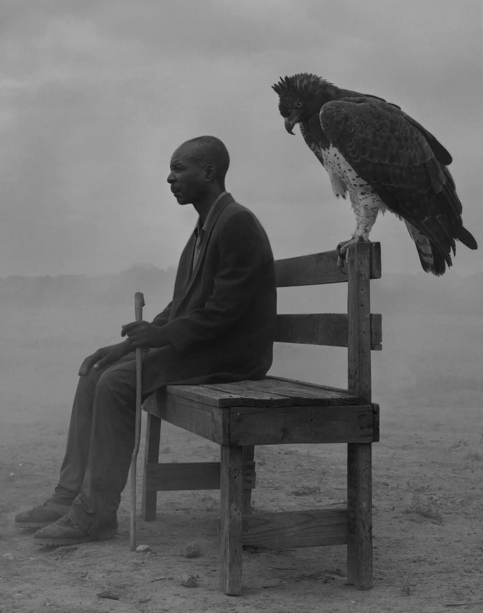No matter what we breed, we still are made of greed