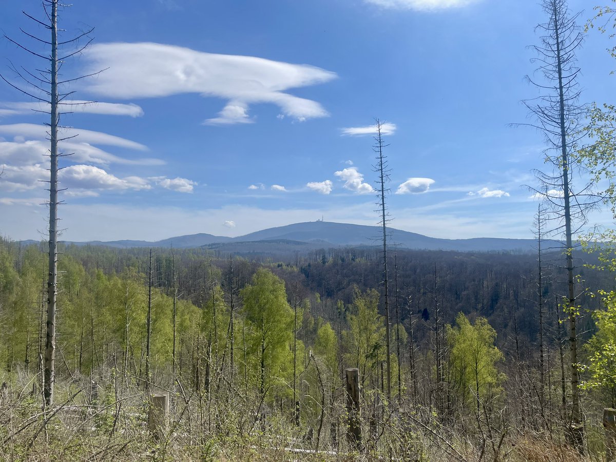 Went on a short motorcycle &amp; hiking trip to the Harz.
Felt like 3 days in hell
…with a view☝🏻👊🏻🥾

#Harz #MotorcycleTrip  #Hiking #HellscapeViews #WhatAJourney