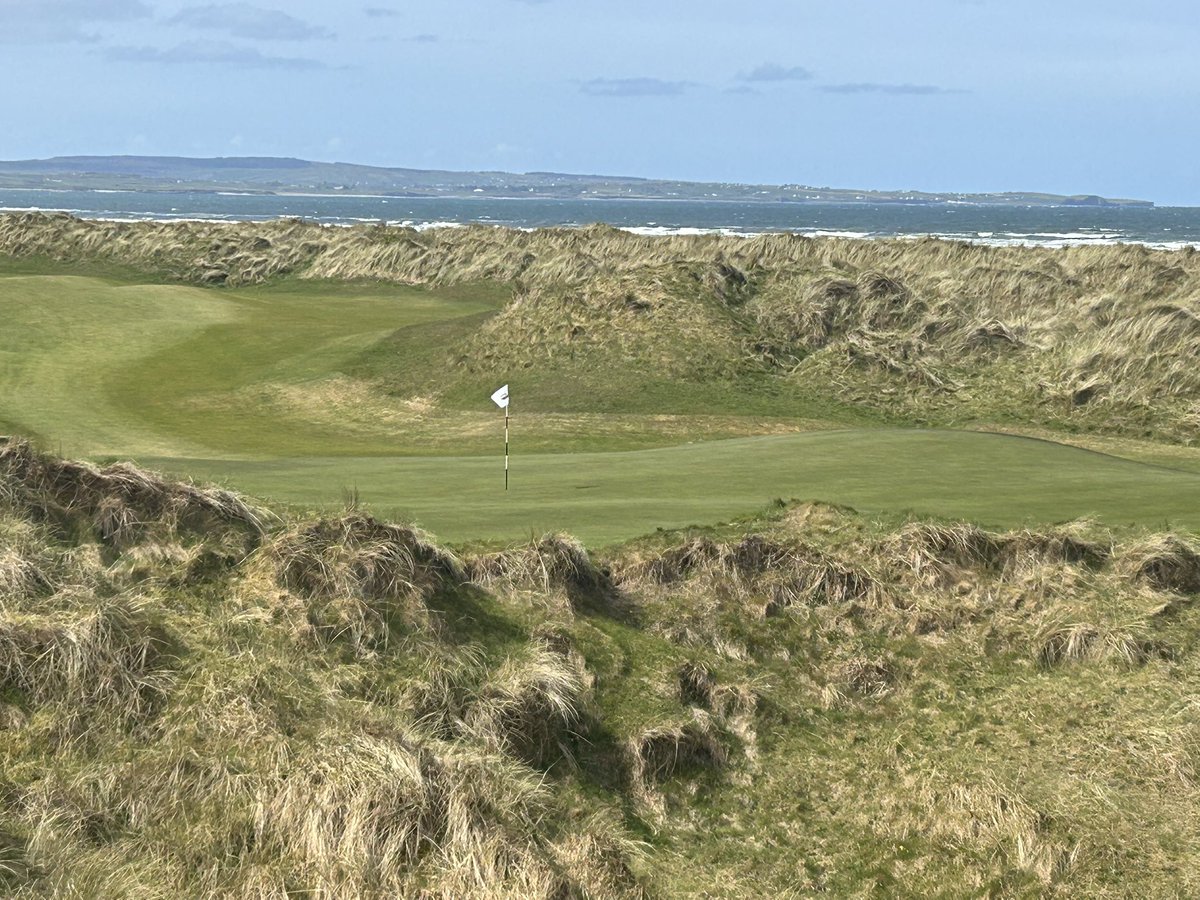 Dan Rowley tweet media