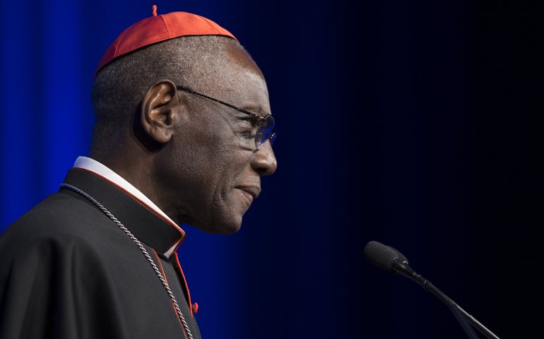 visegrad24's tweet photo. The West has denied its Christian roots.

A tree without roots dies.

Cardinal Robert Sarah https://t.co/wfHVgXDEfl