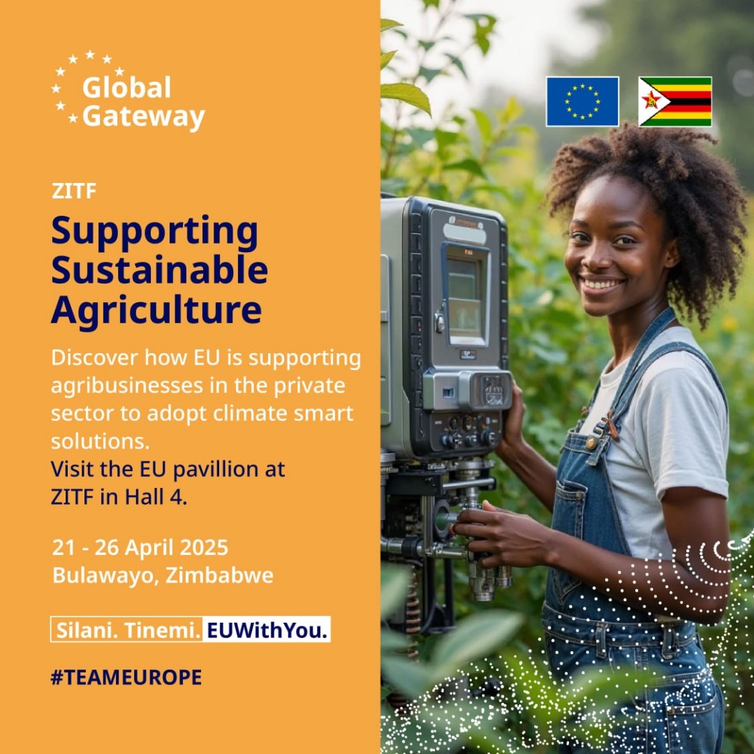 euinzim's tweet image. 🔴#EU🇪🇺 at #ZITF2025!
Come and visit the #TEAMEUROPE stand in Hall 4 where you can learn more about #TEAMEUROPE agribusiness and climate smart solutions in Zimbabwe!
@euinzim 🇪🇺🇿🇼 
#Silani #Tinemi #EUWithYou🇪🇺🇿🇼