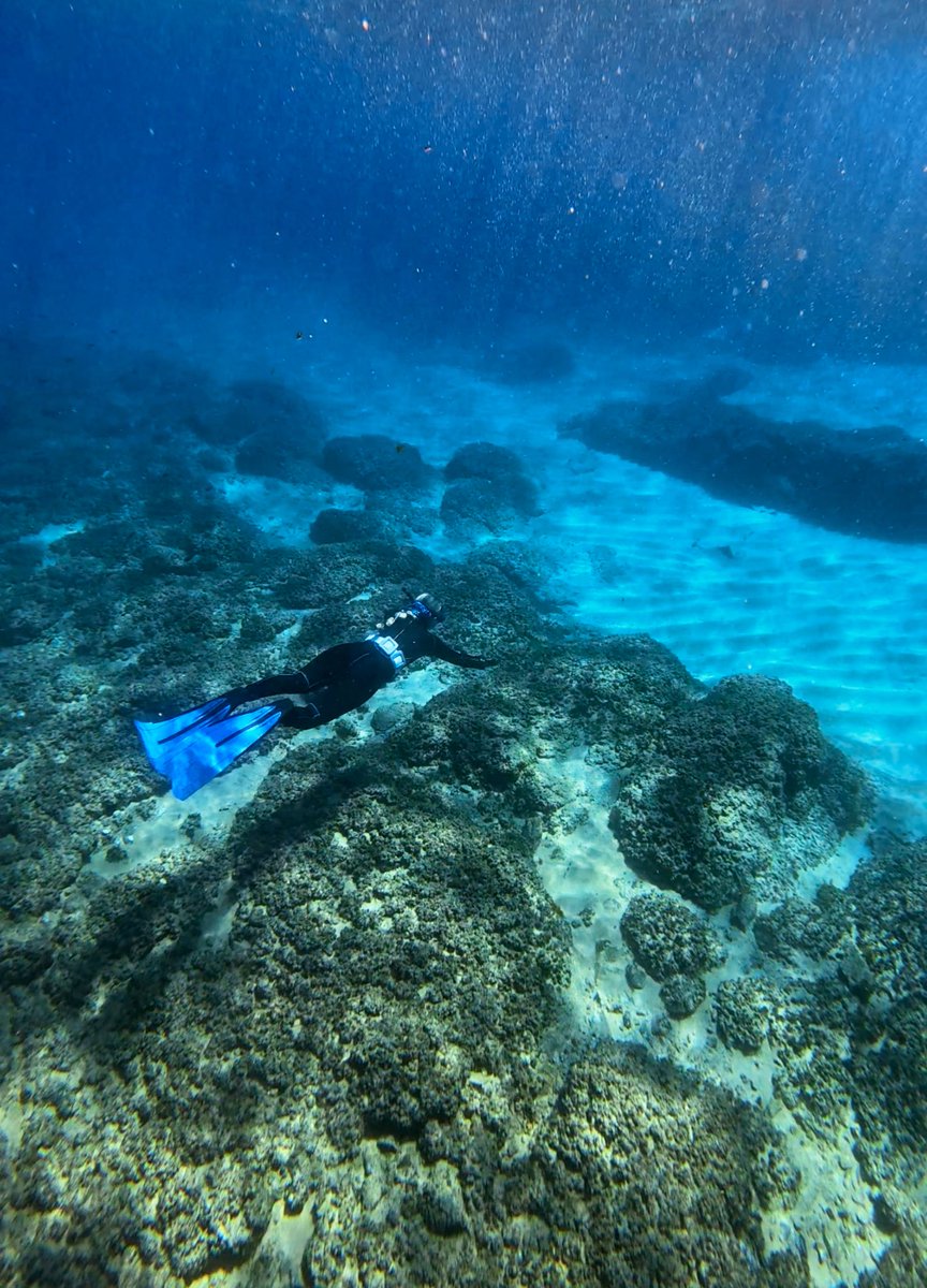 𝕴𝖓𝖌𝖗𝖎𝖉 🧜🏼‍♀️ tweet media