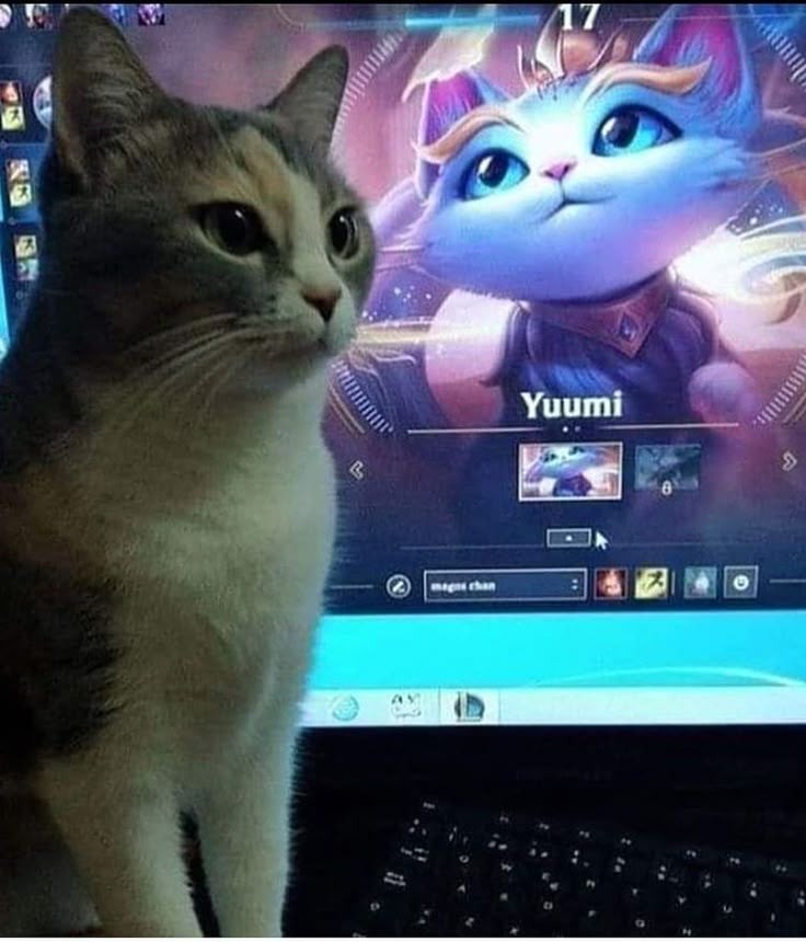 Cho'Gath Da Depressão (@chodepressivo) on Twitter photo 