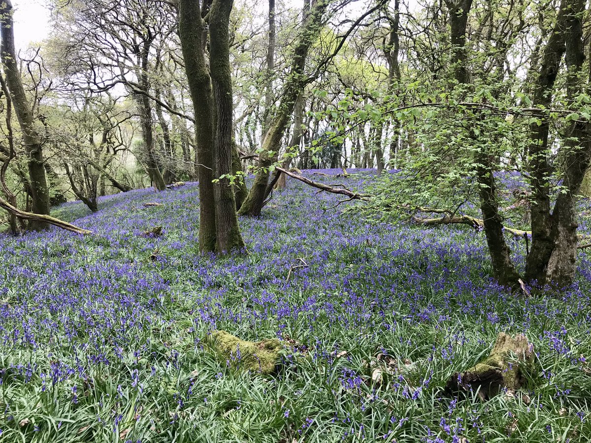 James Short (@jamesshortgolf) on Twitter photo 