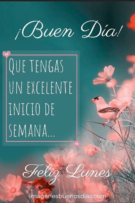 Baltazar Lopez tweet media