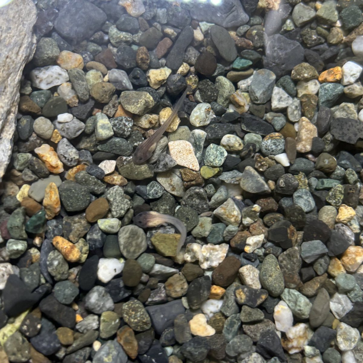 なんかあんまり変化ないな