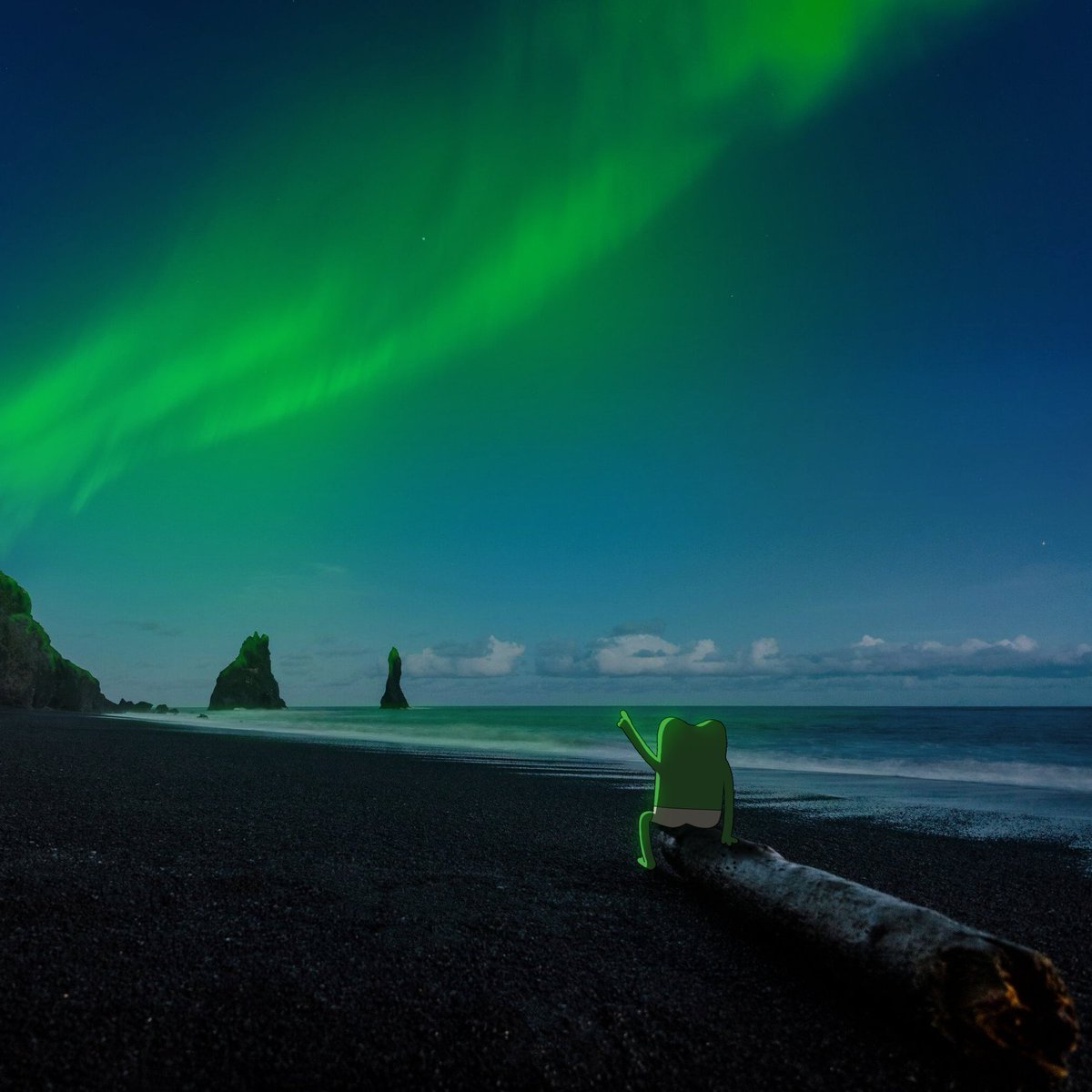 kimimaro tweet media