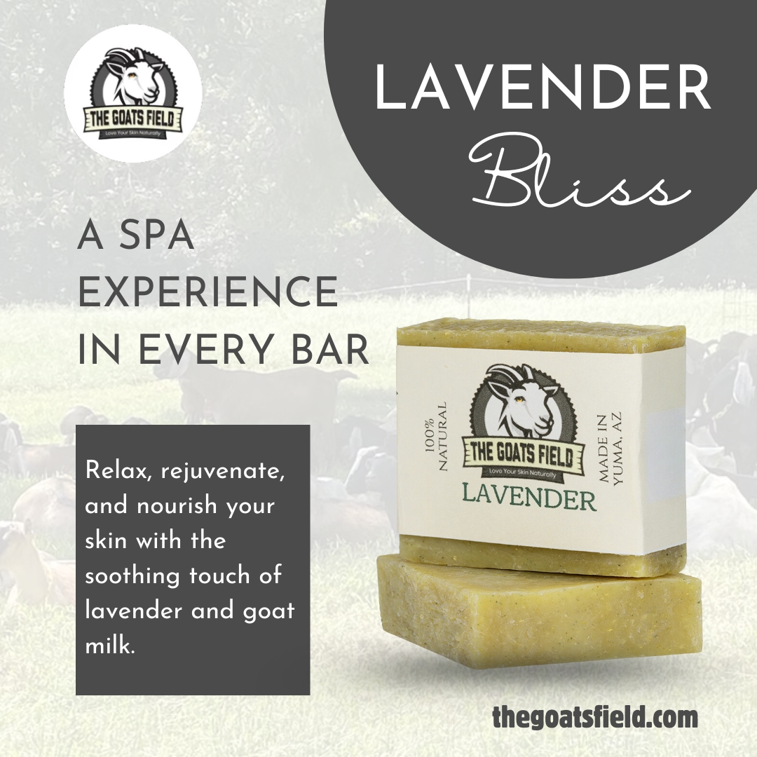 🌿 Discover blissful relaxation with the luxurious Lavender Goat Milk Soap, your spa-like retreat in a bar! 🤩 #LavenderMagic #GoatMilkSoap #RelaxAndUnwind #OrganicBeauty #SelfCareEssentials #PurelyPampering #SpaAtHome #NaturalGlow #SootheYourSoul