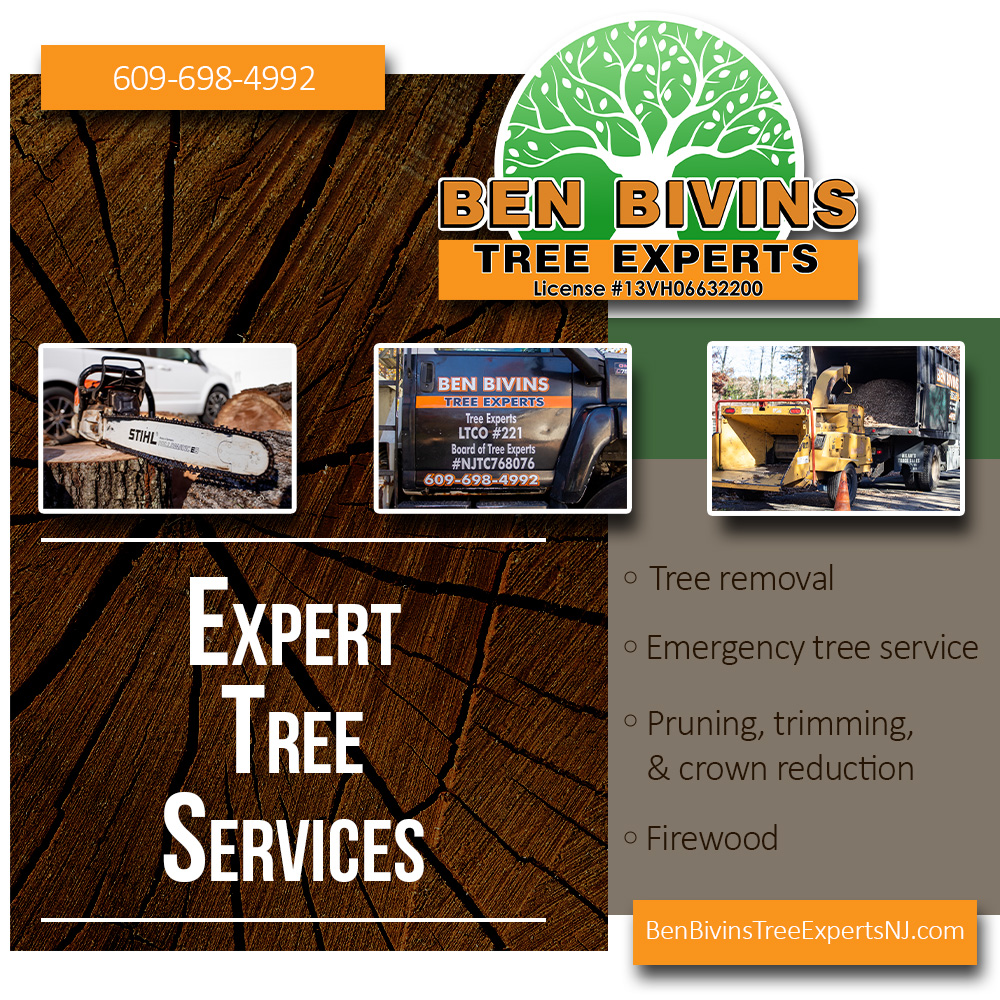 BivinsTree's tweet image. From routine trimming to emergency removals, we’ve got your trees covered. We&apos;re your go-to team for tree removal, storm damage cleanup, &amp;amp; more.

#TreeRemoval #EmergencyTreeService #NJTreeCare #BenBivinsTreeExperts #LandscapingSupport #LocalBusinessNJ #TreeExperts