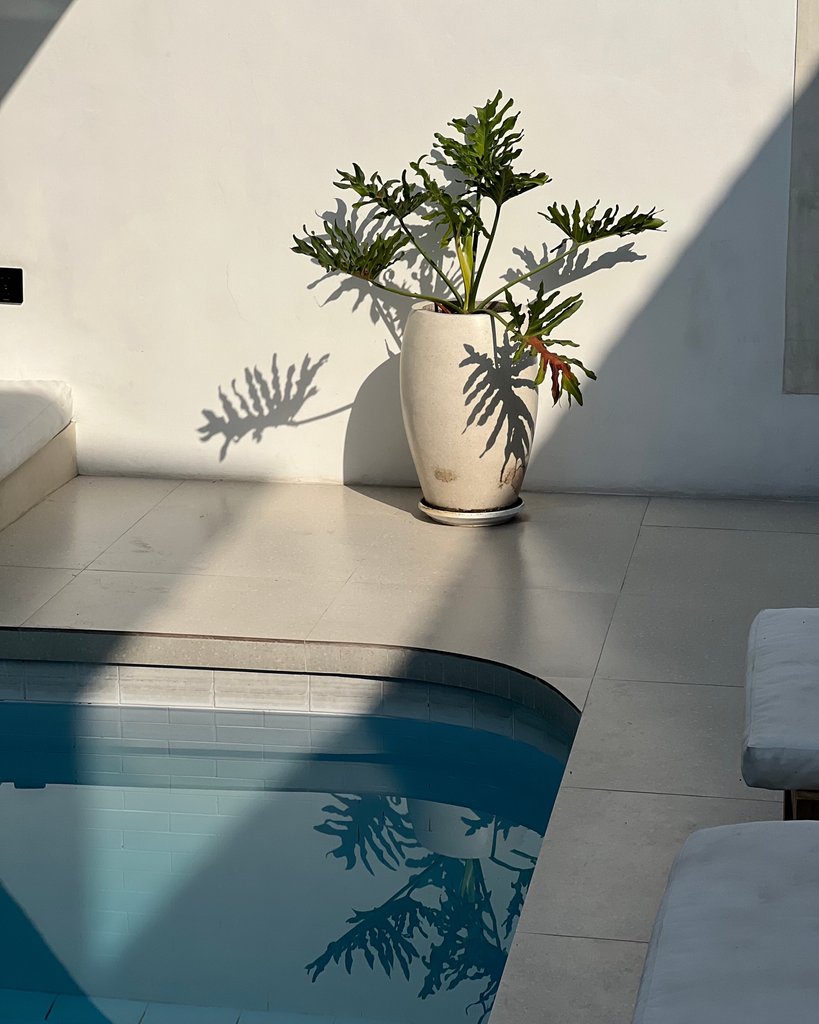 JasonBaths's tweet image. A simple self care tip: bask in the natural warmth of sunlight. Just 15 minutes a day can boost your mood, improve your skin, and enhance your overall well-being. Let the sun's energy nourish both your body and your soul. ☀️