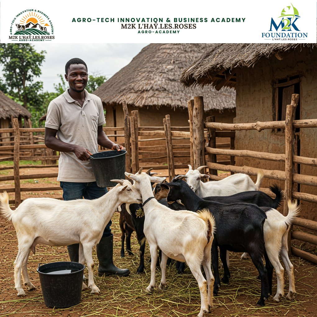 M2KFoundation's tweet photo. 🐐 Une chèvre, c’est plus que de la viande.
💡 C’est du lait, du fumier, des revenus.
👨🏿‍🌾 Bien nourrir, soigner et valoriser ses animaux, c’est investir.

👉L’élevage, c’est de l’intelligence rurale.

#ÉlevageDurable #InvestirEnMilieuRural #M2KAgroTech #SécuritéAlimentaire #Agro https://t.co/LG9tp2dJSx