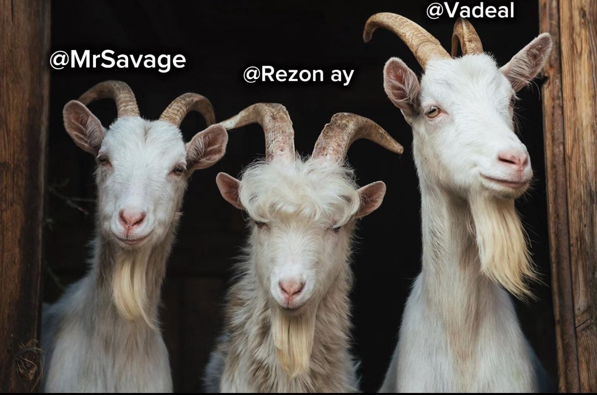 Cixy16632's tweet photo. My 3 Goat‘s‼️
Savage, Rezon and Vadeal, i wish you good luck🍀 for Grands🏆 Savage best IGL, Rezon and Vadeal best Fragger❤️ 
@rezonayy @VadealFN @MrSavage 👀 https://t.co/iZCjBwdQYv