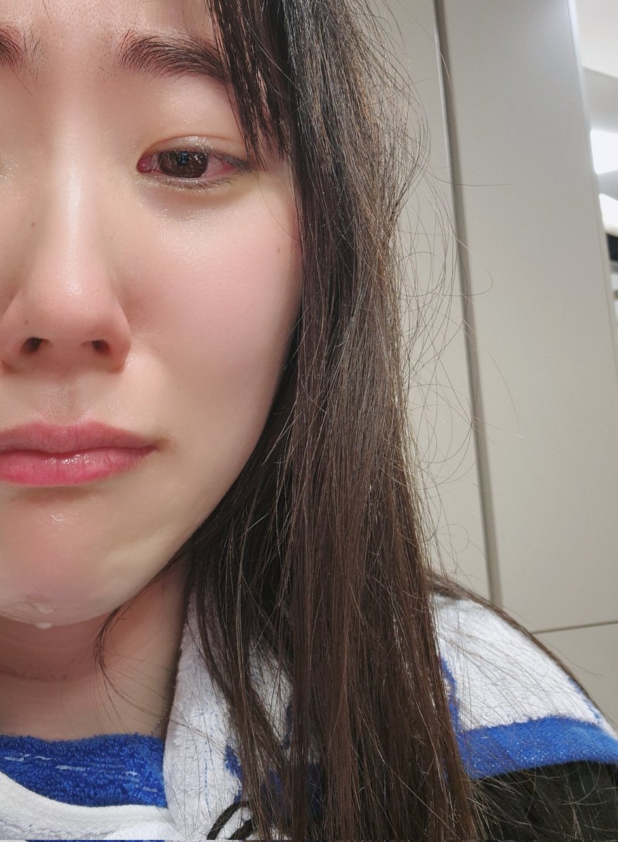 하 고양이본체나오자마자처움