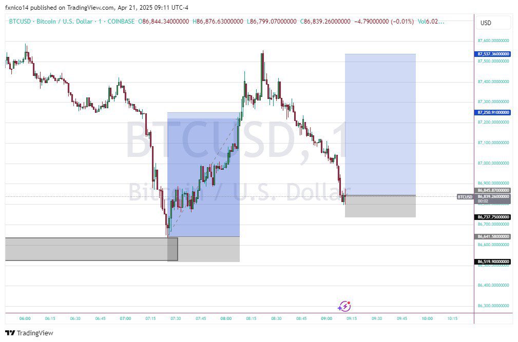 NicoFx_'s tweet photo. My second entry on btcusd. https://t.co/MKwd4AVYNZ