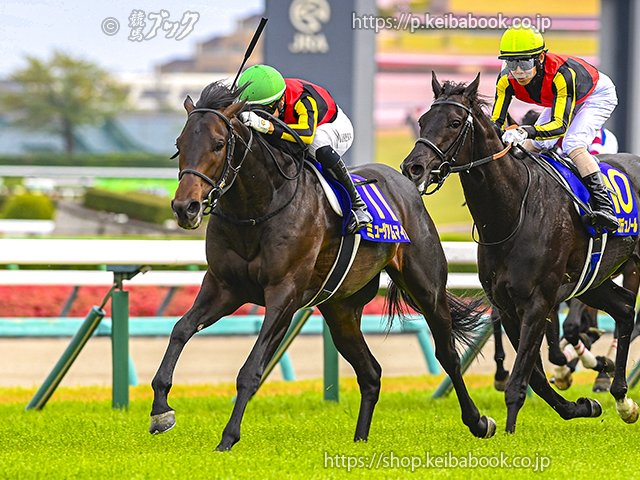 マ*リ様 98年　皐月賞　現地馬券　18頭 中山2000mで行われた皐月賞】 ①ロブチェン(18頭)1:56:5←🆕 ②