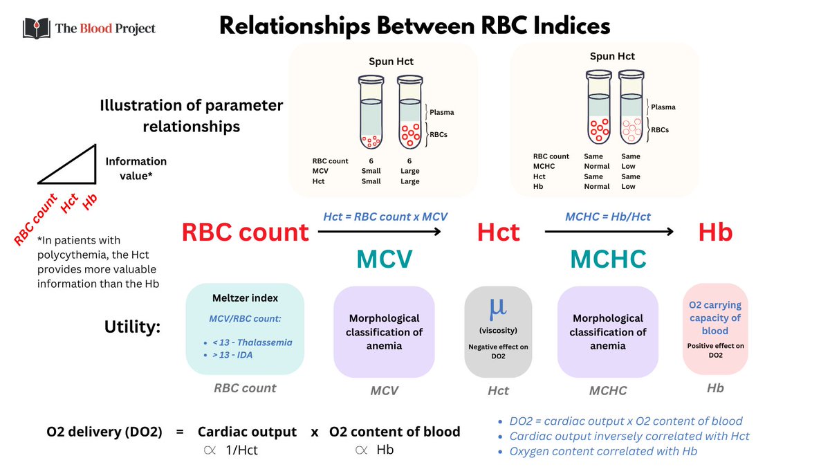 RELATIONSHIPS BETWEEN RBC INDICES

Contextualizing: 
RBC count
Hct
Hb
MCV
MCHC

... notice how MCH not included - it is NOT helpful!