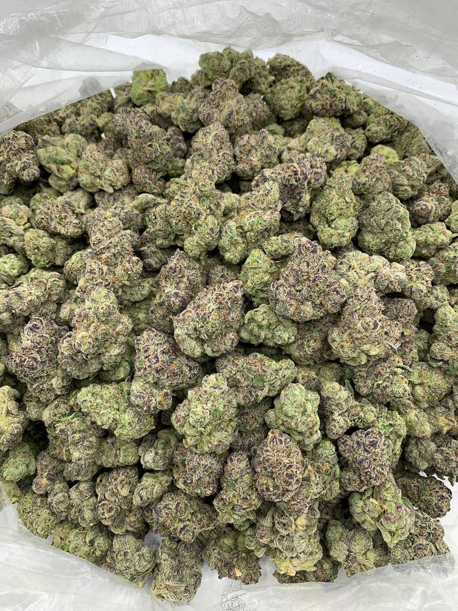 LiftedLeaf tweet media