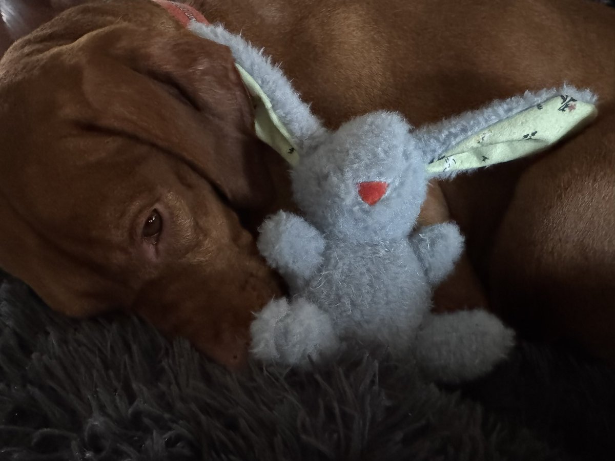 Nelly has a case of the Mondays…