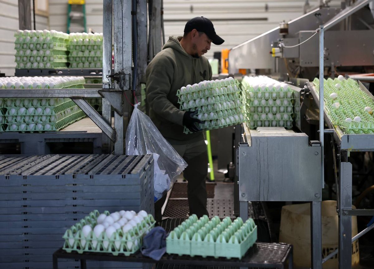 Egg prices just climbed to a new seasonal record, with wholesale prices nearing $3.62 a dozen - the highest since last August - and the average retail price of a dozen eggs climbed above $6 for the first time.

Let’s invest in transformation—before the next shock hits.
🔗⬇️