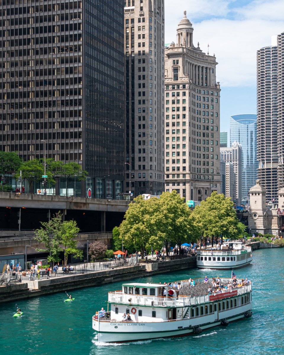 LHChicago tweet picture