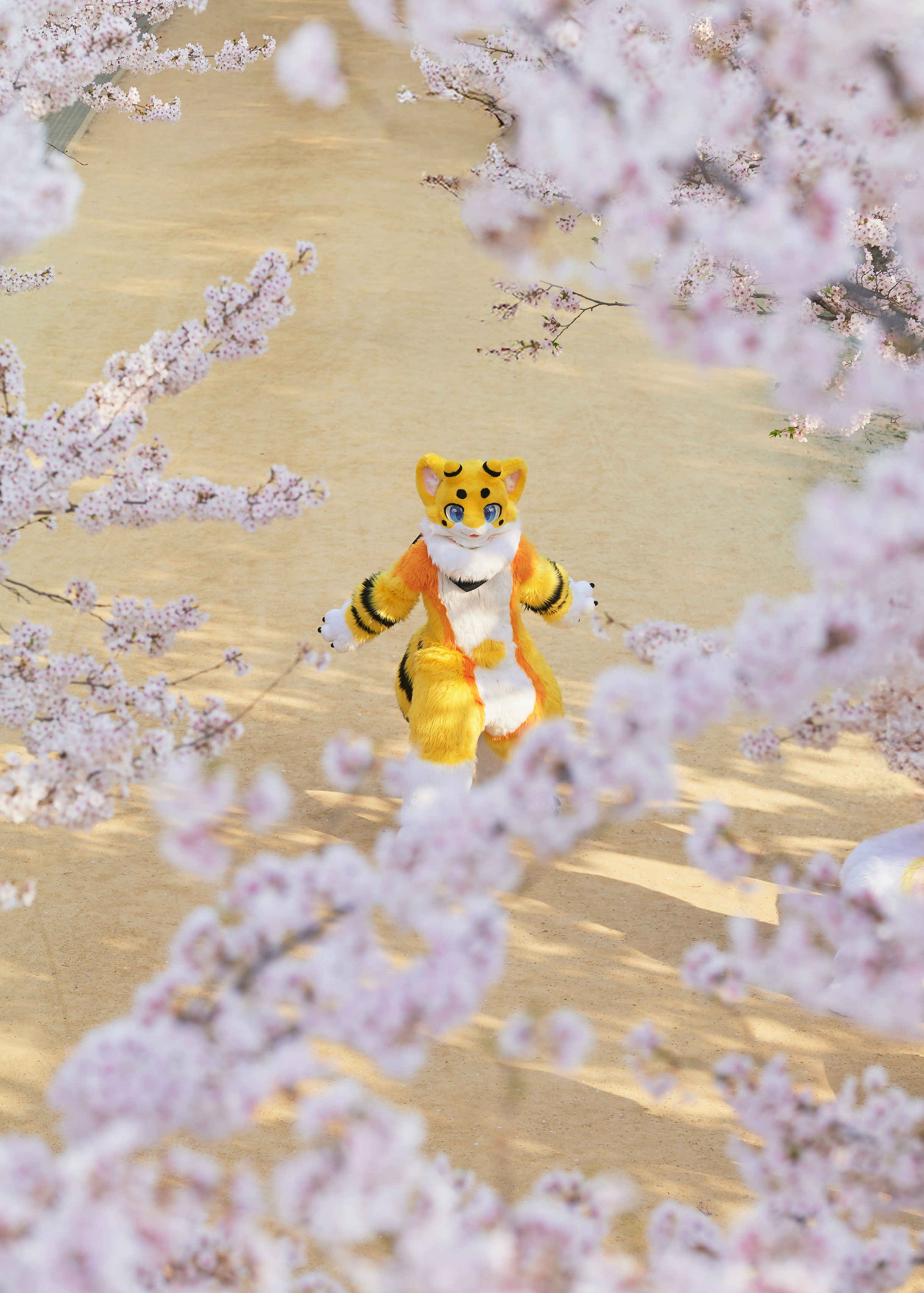 🐝 ブーウン 부웅 (@voooong_) / X