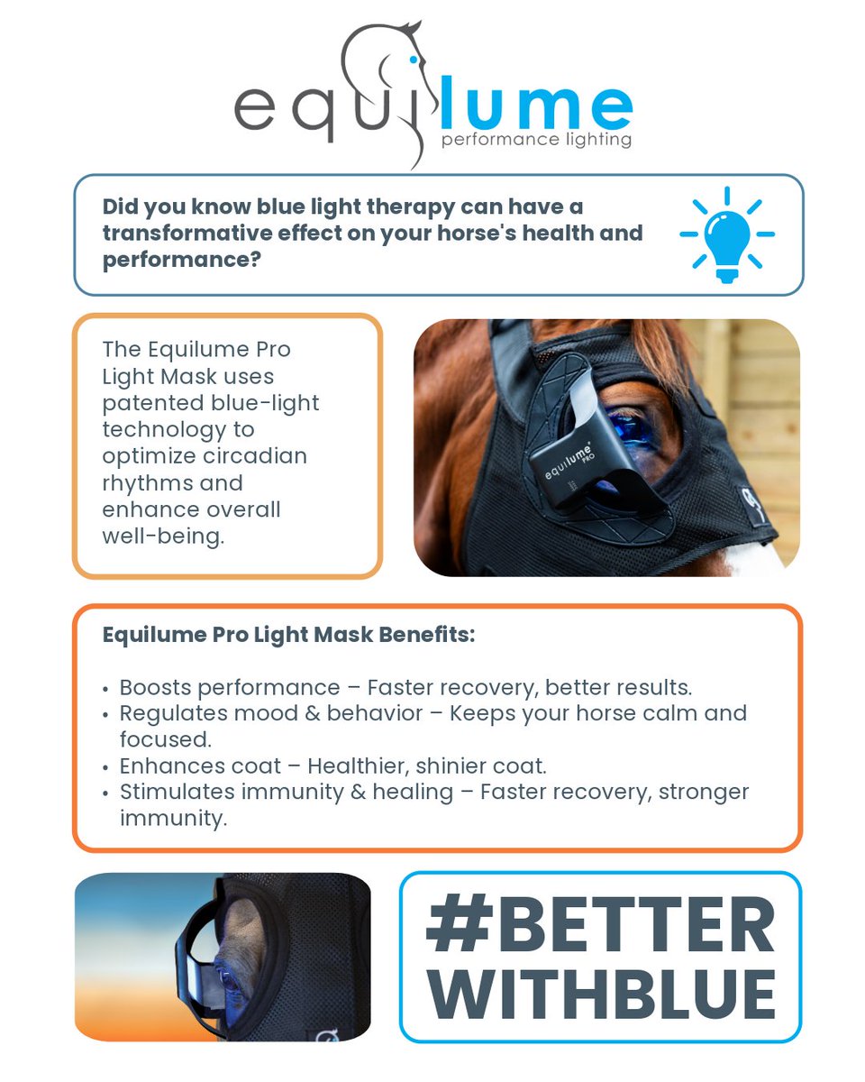 Transform your horse's health with blue light therapy! The Pro Light Mask optimizes circadian rhythms for enhanced well-being. #Equilume #BetterWithBlue