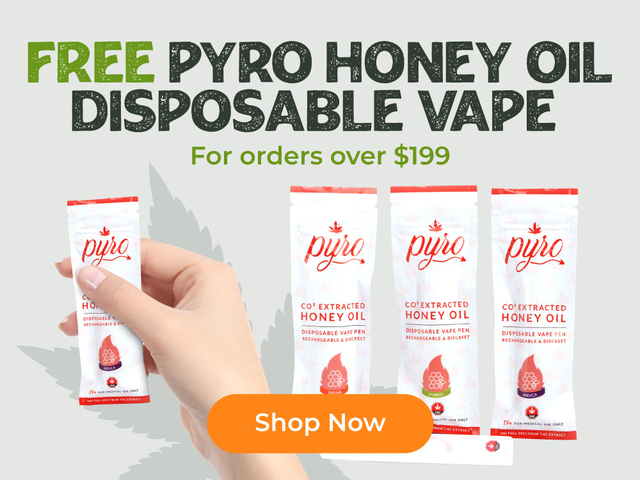 HerbApproach's tweet image. Free 1g Pyro Honey Oil Disposable Vape on Orders Over $199!
Spend a lil’ extra, get a whole lotta buzz 😮‍💨
Pure fire. Zero effort. Totally free.
Treat yo’self—and let us treat you too. herbapproach.com/product-catego…
#FreeVapeVibes #PyroPower #HerbApproach #HighRollerPerks