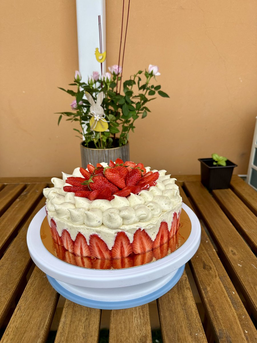 Mon premier VS deuxième fraisier 🍓