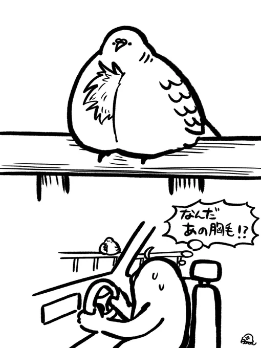 今朝見たハト 