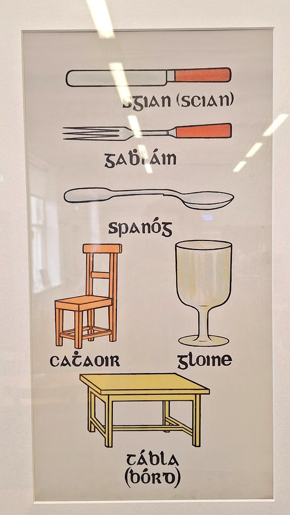 Coiste na bhFocal Nua 🇵🇸 tweet media