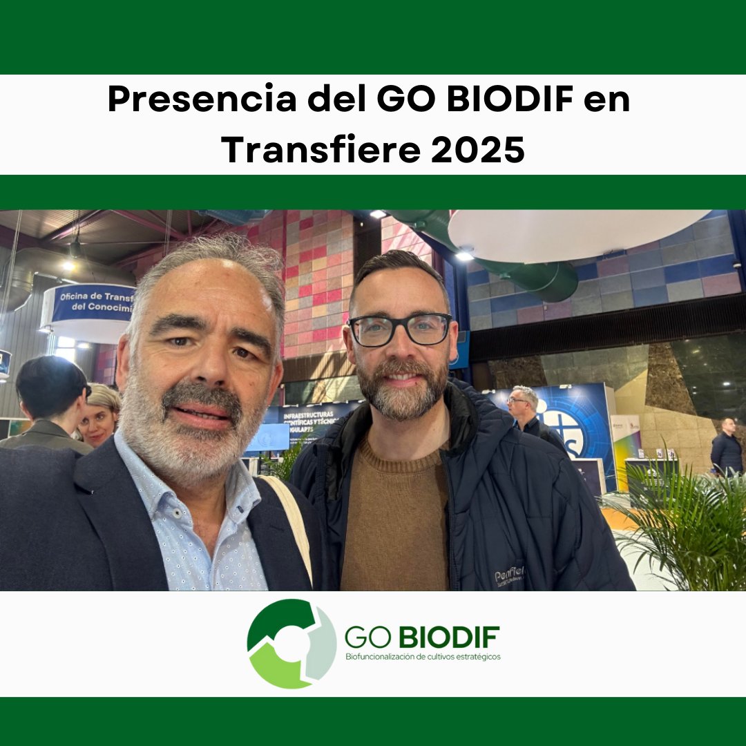 gobiodif's tweet image. 📢 Presencia del GO #BIODIF en @ForoTransfiere 2025
👉🏻 Durante el evento, varios miembros del Grupo Operativo BIODIF presentaron los avances del proyecto, centrado en la biofuncionalización de cultivos estratégicos 🍅tomate, 🌽maíz y 🫒olivo mediante el uso de nanotecnología🧪