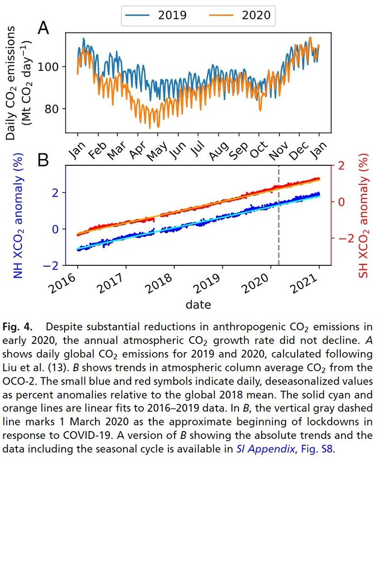 Jack Lee tweet media