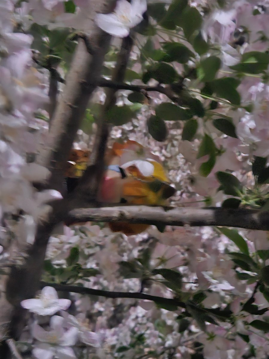 기동이 tweet media