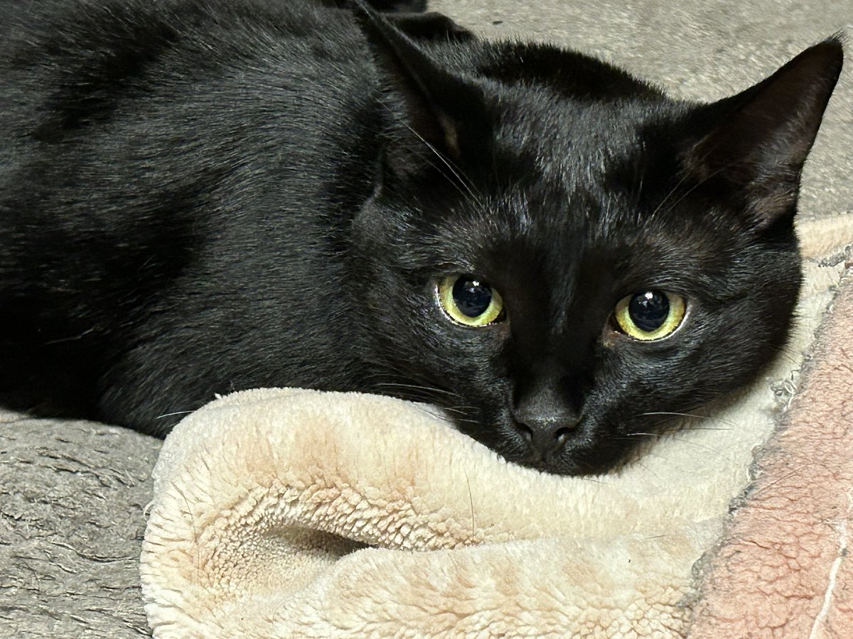 御影くん🎂🎉4歳

お誕生日おめでとう💙