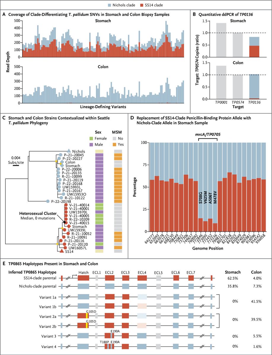 NEJM tweet media