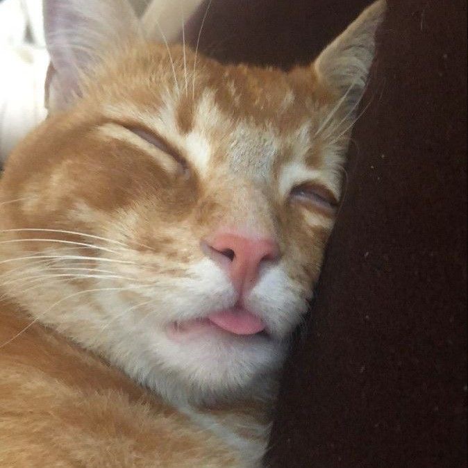 My brain is empty, but the vibes are intergalactic.