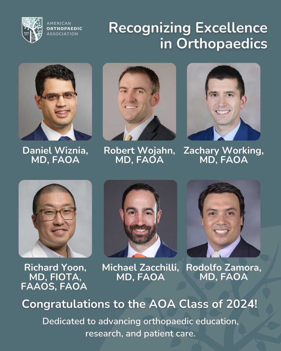 aoa1887's tweet photo. Celebrating Excellence. Join us in honoring Daniel Wiznia, Robert Wojahn, Zachary Working, Richard Yoon, Michael Zacchilli, and Rodolfo Zamora, members of the AOA Class of 2024, for their contributions to orthopaedics.

#AOAClassof2024 #Orthopaedics #Leadership https://t.co/No8zS1LF1I