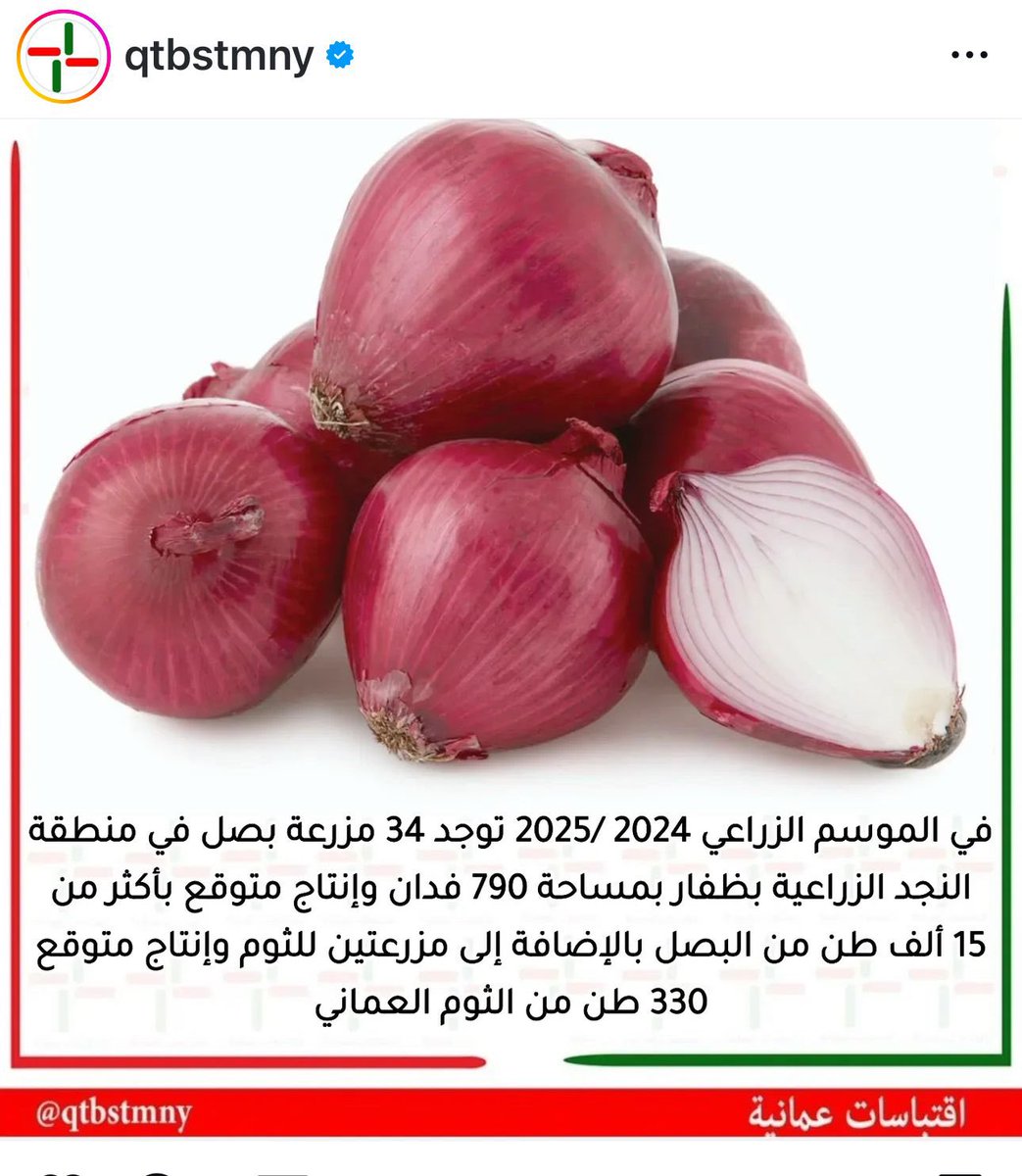 علي محمد جعبوب (@gaboob_ali) on Twitter photo معالي وزير الزراعة <a href="/MAFWR_OM/">وزارة الثروة الزراعية والسمكية وموارد المياه</a>
نأمل تكرمكم بالتدخل لإنقاذ مزارعي البصل بمزارع النجد من الانهيار بسبب تراجع أسعار البصل نتيجة الاستيراد الخارجي.
دعم المحصول المحلي أو تقليص الاستيراد مؤقتاً سيساهم فـي تعـزيز الاكـتفاء الذاتي ويدعـم جـهود الأمن الغذائي الوطني. معالي وزير الزراعة <a href="/MAFWR_OM/">وزارة الثروة الزراعية والسمكية وموارد المياه</a>
نأمل تكرمكم بالتدخل لإنقاذ مزارعي البصل بمزارع النجد من الانهيار بسبب تراجع أسعار البصل نتيجة الاستيراد الخارجي.
دعم المحصول المحلي أو تقليص الاستيراد مؤقتاً سيساهم فـي تعـزيز الاكـتفاء الذاتي ويدعـم جـهود الأمن الغذائي الوطني.