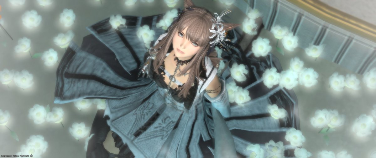 Holy@Valefor tweet media