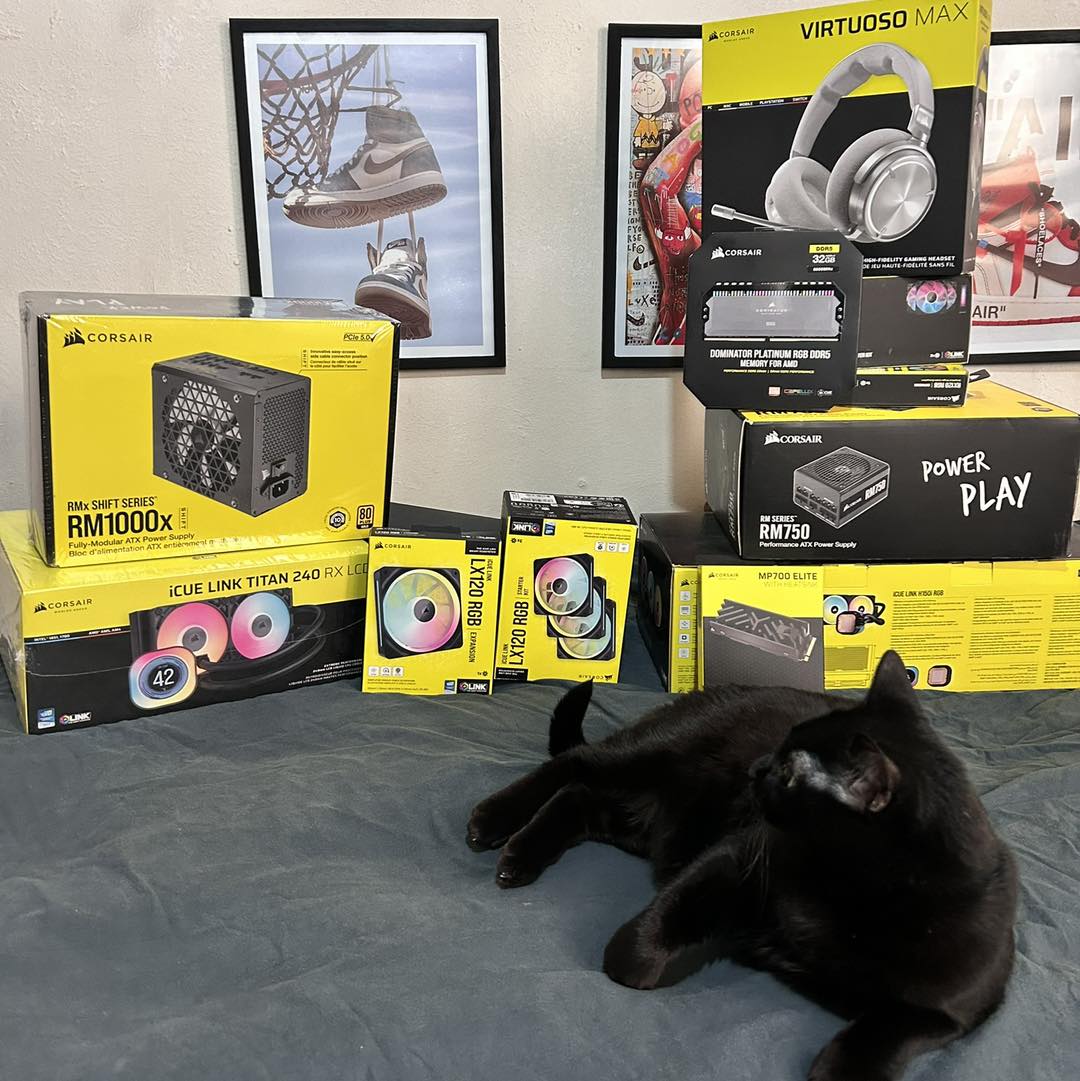 Corsair_BR's tweet photo. Seu gato também espera pelas caixas?
#Corsair #SetupGaming #CatSair https://t.co/noM45CGbNq