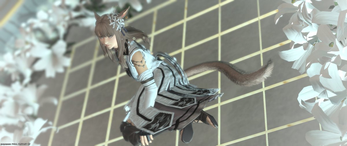 Holy@Valefor tweet media