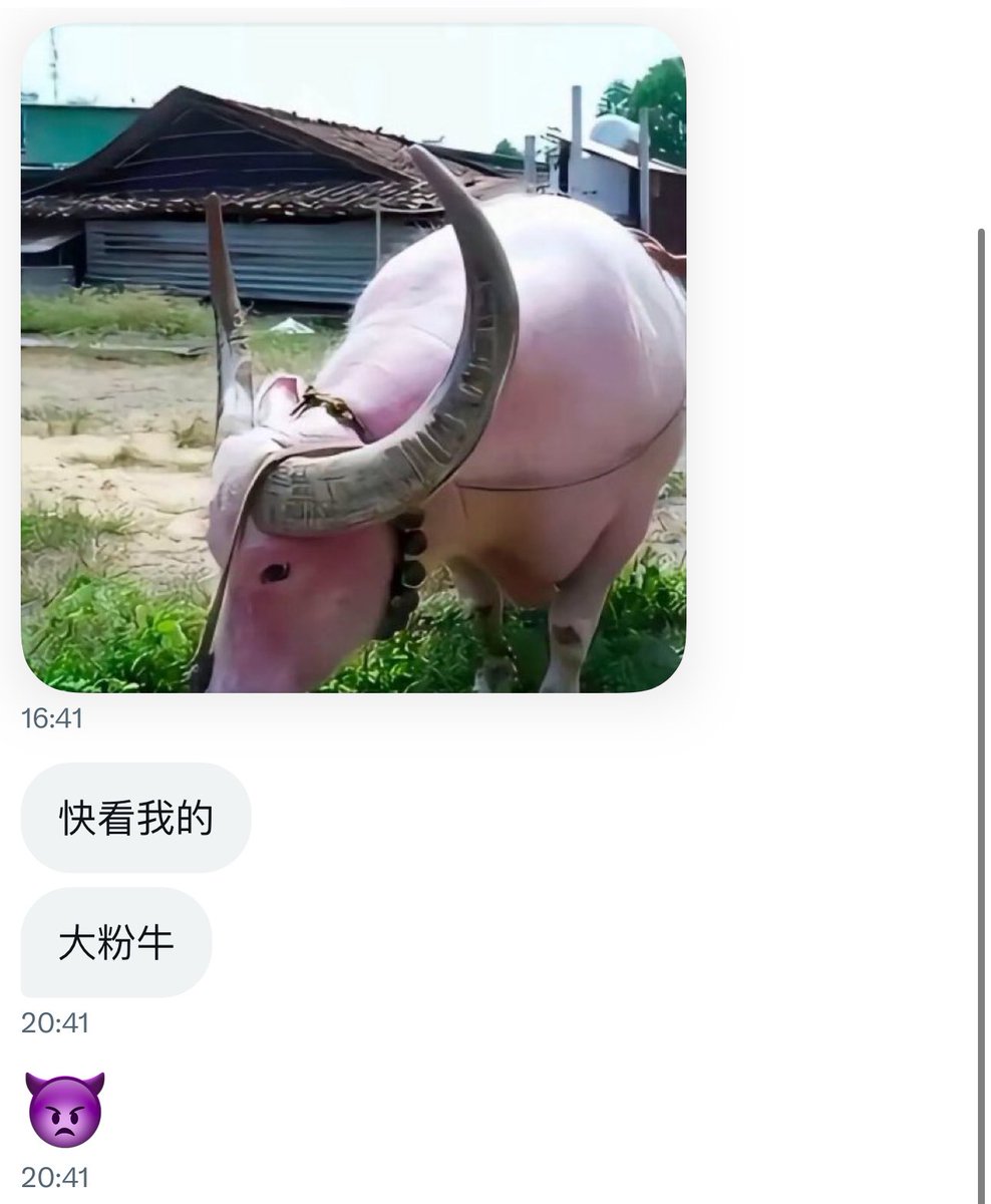 太粉了……不…行……我会受不了了的……啊啊啊……嗯啊嗯啊……啊啊斯哈斯哈……
粉的我的水直接变成一场海啸冲进大海…… https://t.co/pGosG5jiiL